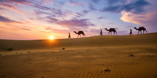 Camel Desert Safari Jaisalmer