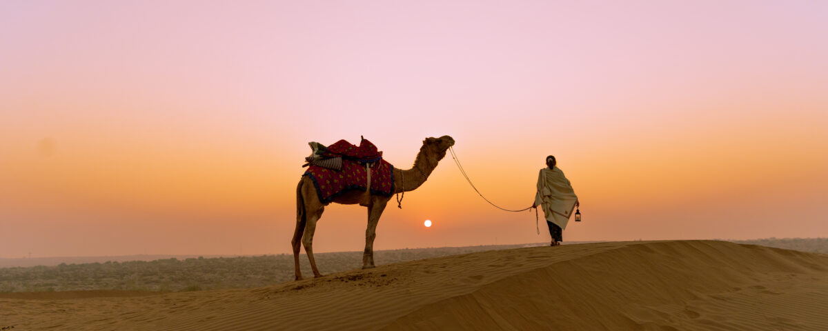 Camel standing on golden sand dunes at sunset, led by a person walking ahead, with a soft orange and pink sky creating a calm desert landscape.