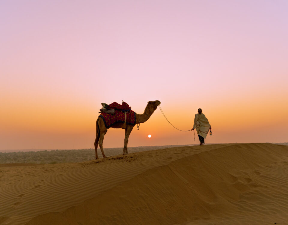 Camel standing on golden sand dunes at sunset, led by a person walking ahead, with a soft orange and pink sky creating a calm desert landscape.