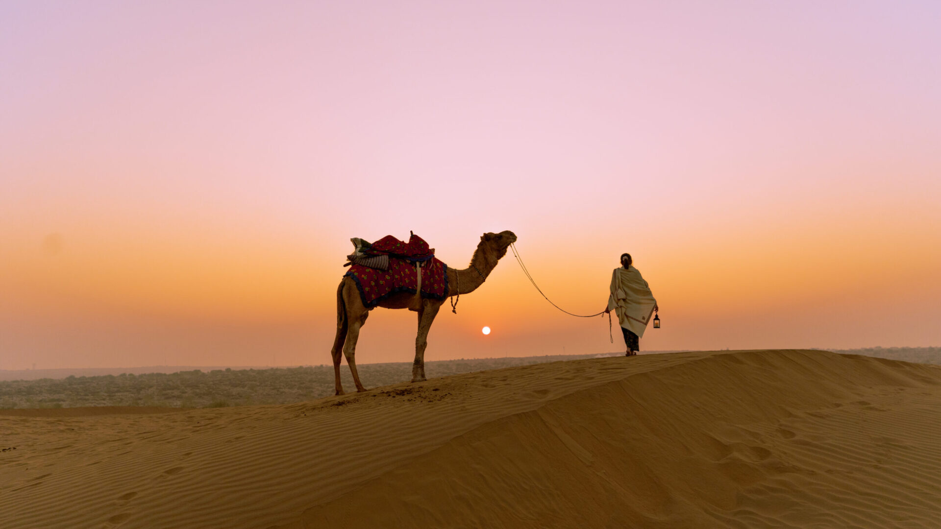Camel standing on golden sand dunes at sunset, led by a person walking ahead, with a soft orange and pink sky creating a calm desert landscape.