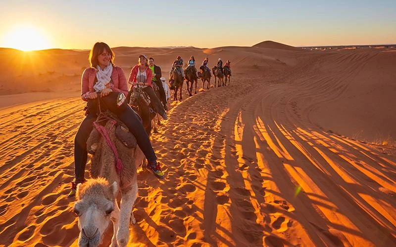 Best Camp in Sam Sand Dunes