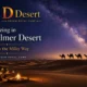 Stargazing in Jaisalmer desert